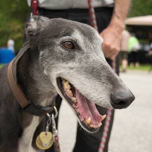 Fundraising Page: John Burridge